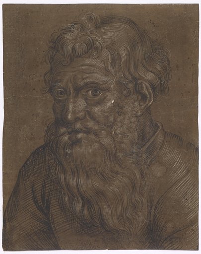 Bust of a Bearded Man Facing Left
