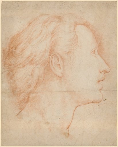 Woman's Head, in Profile to the Right