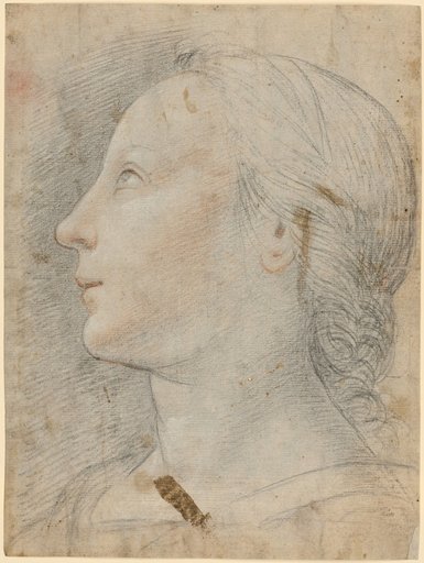 Female Head in Profile Facing Left