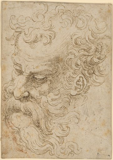 Head of a Bearded Man Looking Down