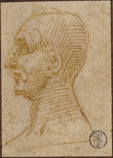 Male Head in Profile Facing Left