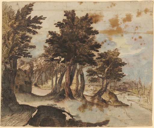 Wooded Landscape