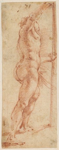 Male Nude