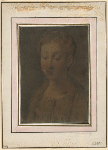 Bust of a Young Woman (Madonna)