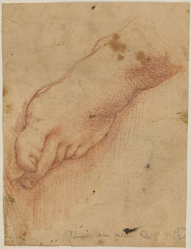 Foot Study