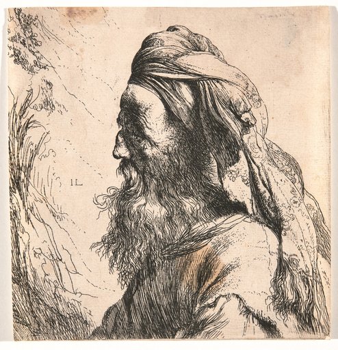 Portrait of a Bearded Oriental in Profile Facing Left