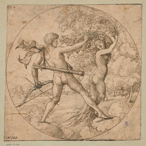 Apollo and Daphne in Round