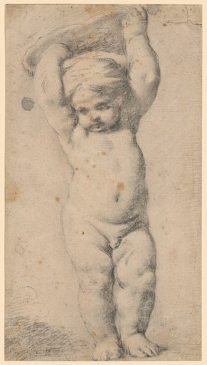 Putto