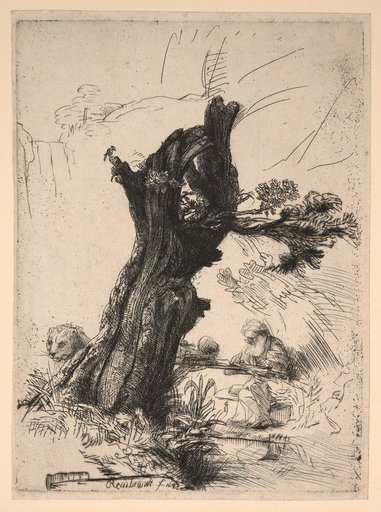 Saint Jerome at the Willow Stump