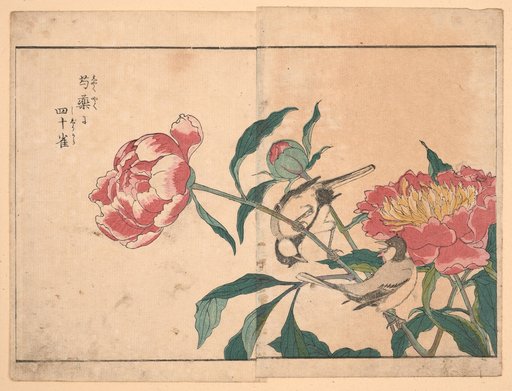 Peonies and Japanese Tits