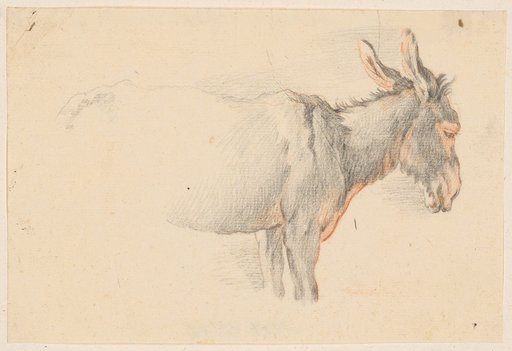 Donkey in Profile Facing Right