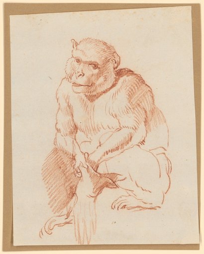 Seated Monkey with a Glove