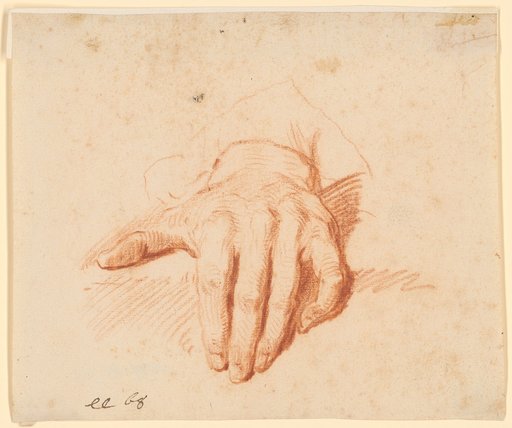 Hand Study