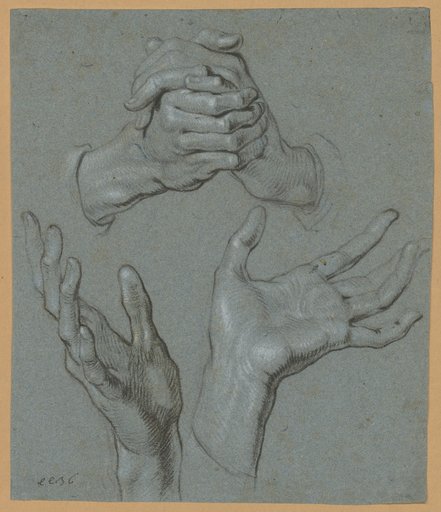 Hand Studies