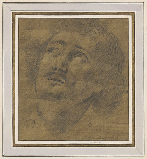 Head of a Young Man Looking Upward