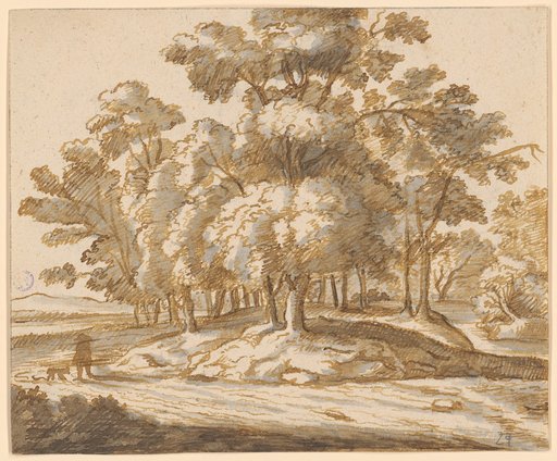 Man with a dog on a walk at the edge of the forest