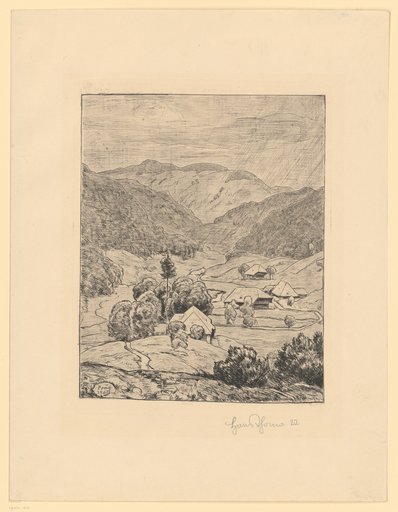 Black Forest Landscape