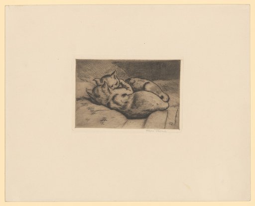 Two Kittens