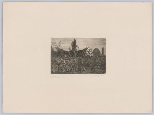 Reichenau Island