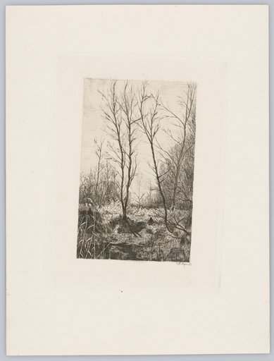Landscape Section with Marshy Foreground