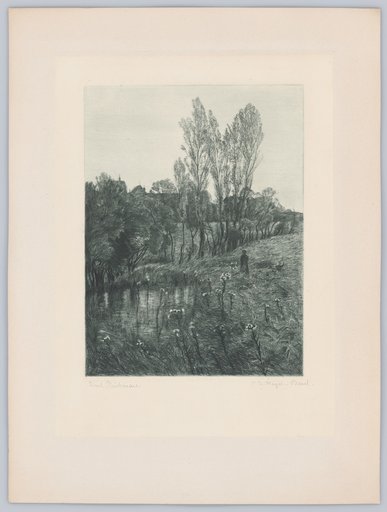 Reichenau Island
