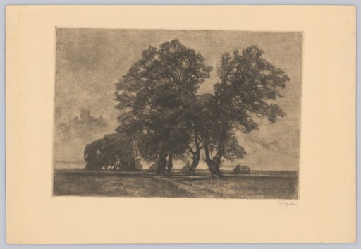 Flat Landscape with a Group of Trees