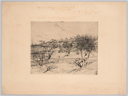 Fruit Trees Below a Row of Houses