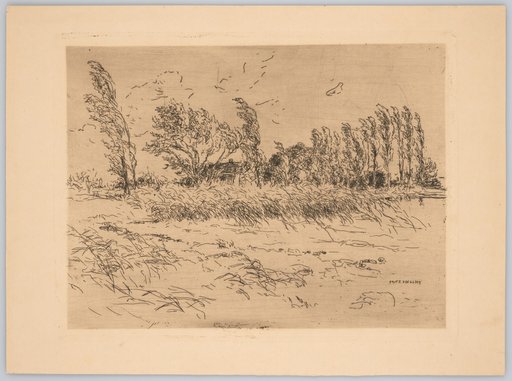 Reichenau Shore in the Wind