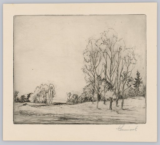 Flat Landscape with Freestanding Trees