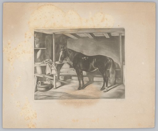 Horse Standing in a Stable