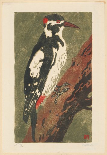 Woodpecker on a Tree Trunk, in Profile Facing Right