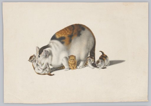 Brown and Black Spotted Mother Cat with Four Kittens