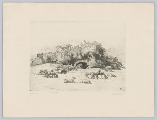 Sheep Pasture