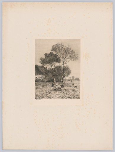 Motif from Langenpreising – Four Sheep Before a Farmhouse