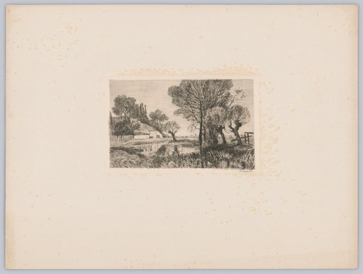 Pond Landscape