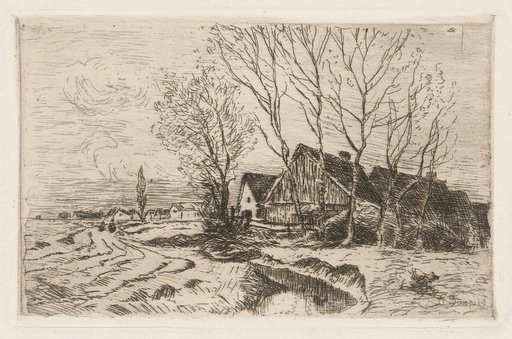Brook Landscape