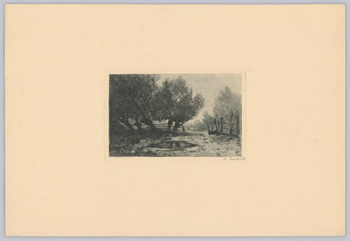 Cattle Pasture at Brannenburg