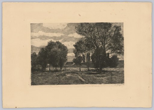 Cattle Pasture at Langenpreising