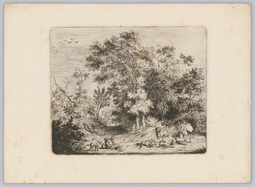 Wooded Landscape