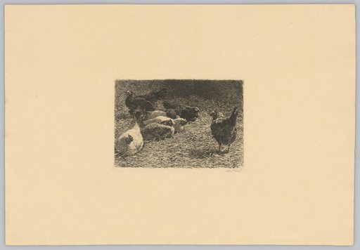 Six Hens and a Rooster Resting in the Grass