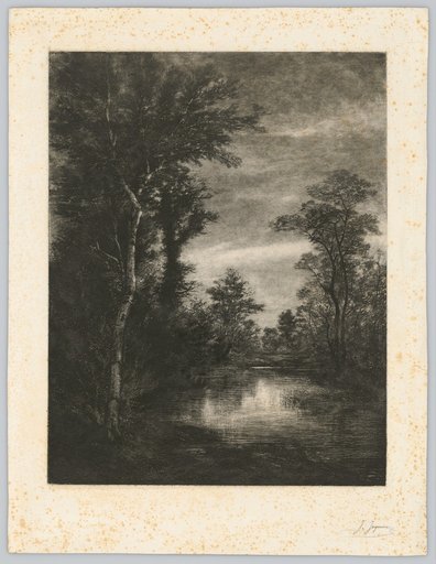 Marshy Lake Between a Birch Grove