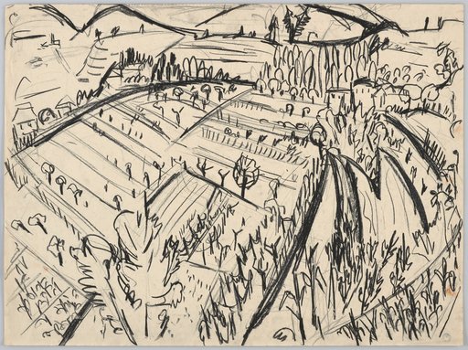 Flat Valley Landscape with Many Tree-Bordered Fields and Plots