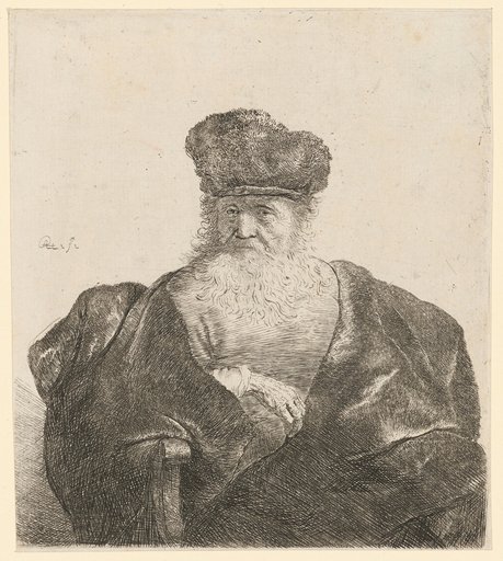 Old Man in a Wide Velvet Coat