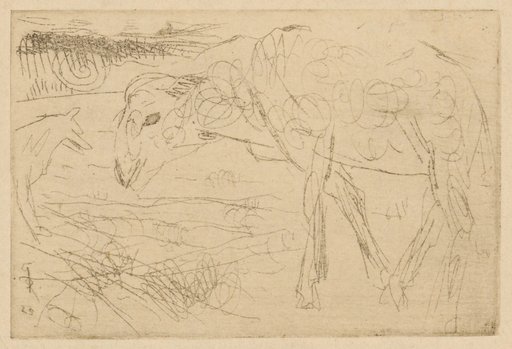 Sheep and dog