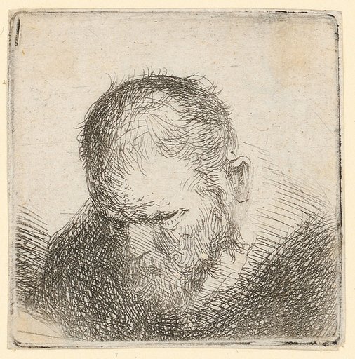 Bust of a short-bearded, looking-down, bareheaded man in three-quarter view to the left