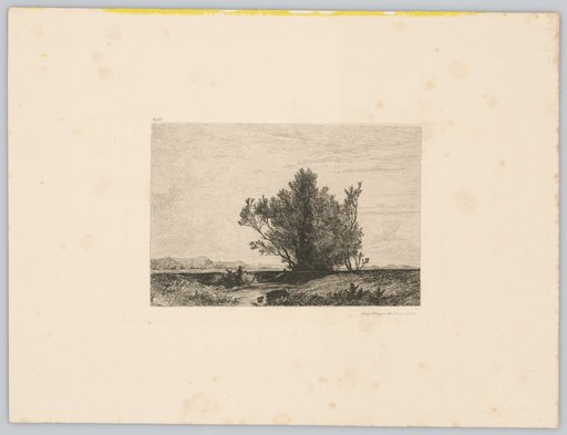 Landscape with a Group of Trees