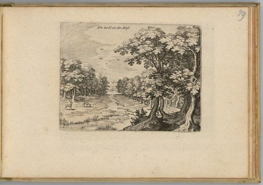 A Forest at the Birß