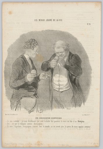 A Scientific Consultation