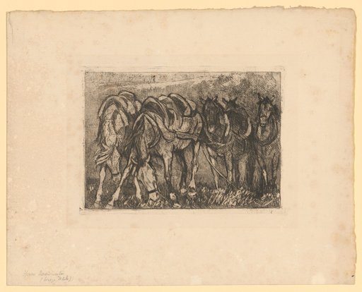 – Horses at Rest