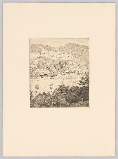 Black Forest Landscape